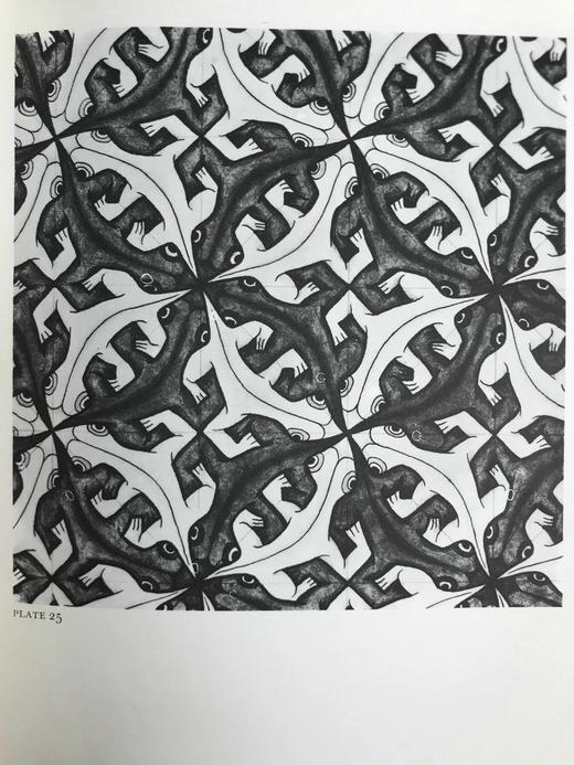 幻想与对称：埃舍尔纹样设计图集 42幅插图（12幅彩色） 精装16开 商品图13