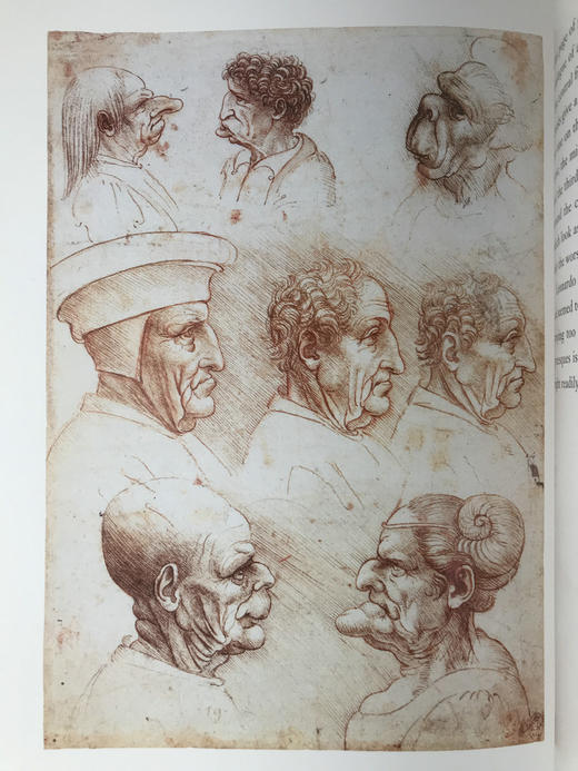 达·芬奇眼中的世界 约百幅插图 精装大16开 商品图13