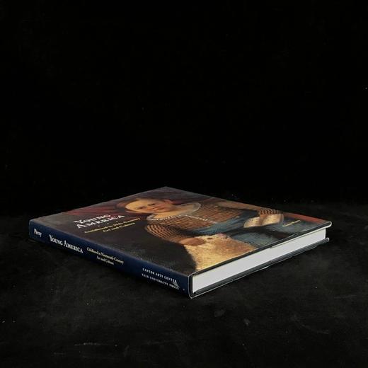 年轻的美国：十九世纪艺术与文化中的童年 168幅插图 精装16开 商品图1