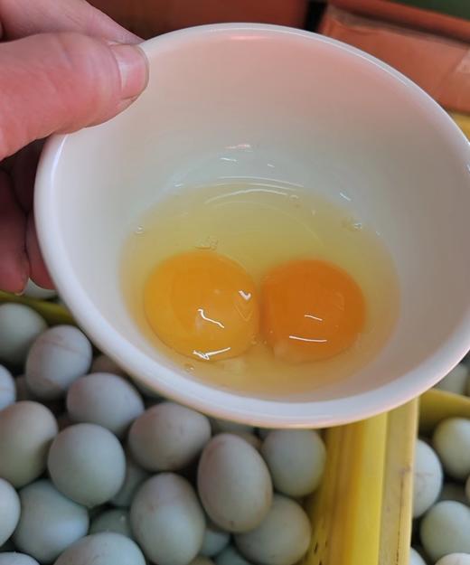 50枚绿皮鸡蛋一箱 商品图3