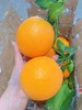 赣南脐橙 【3斤】 商品缩略图4