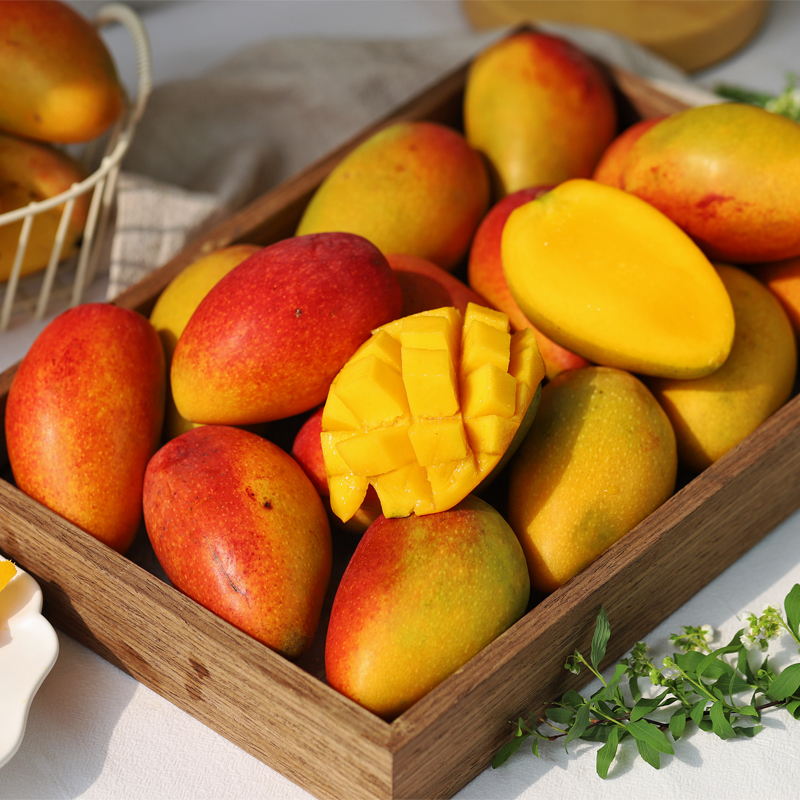 三亚贵妃芒（树上自然熟)