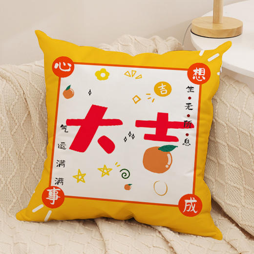 沙发抱枕【国潮文字毛绒发财抱枕】家居装饰 发财暴富 新年抱枕套 商品图13