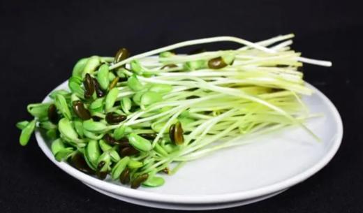 黑豆苗 商品图0