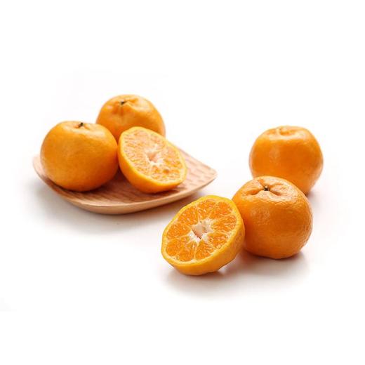 MAP·四川春见耙耙柑4.5kg礼盒装 商品图3