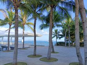 我的海南三亚避寒之旅