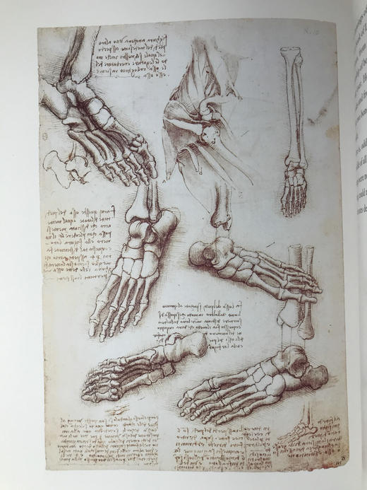 达·芬奇眼中的世界 约百幅插图 精装大16开 商品图7