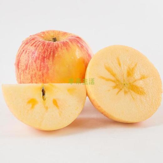 【盈香园】阿克苏红旗坡产区100冰糖心苹果3kg(特级8-10粒) 商品图1