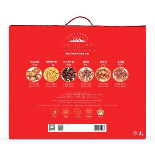 云小君金玉满堂金耳礼装盒优选食用菌礼盒姬松茸云南特产茶树菇 商品图2