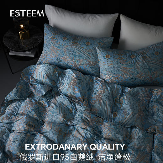 威尼斯夜曲可水洗鹅绒冬被 商品图2