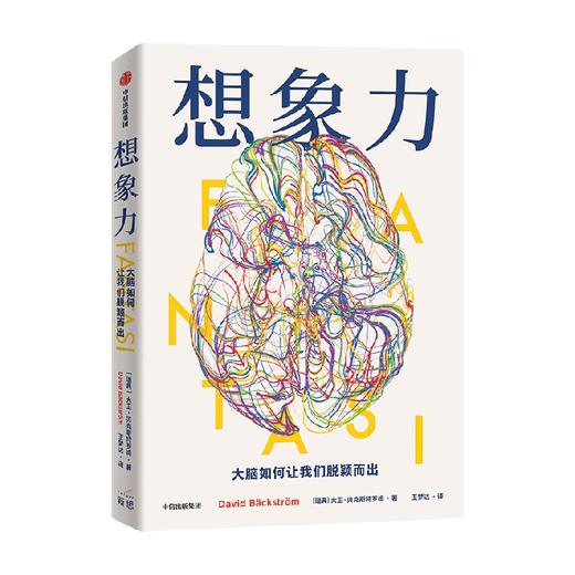 想象力 大脑如何让我们脱颖而出 大卫贝克斯特罗姆著 与其说我们是智人 不如说我们是幻人 精于想象和幻想的人 商品图4