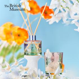 大英博物馆盖亚·安德森猫系列  露煎春茶 香薰晶石无火香氛礼盒