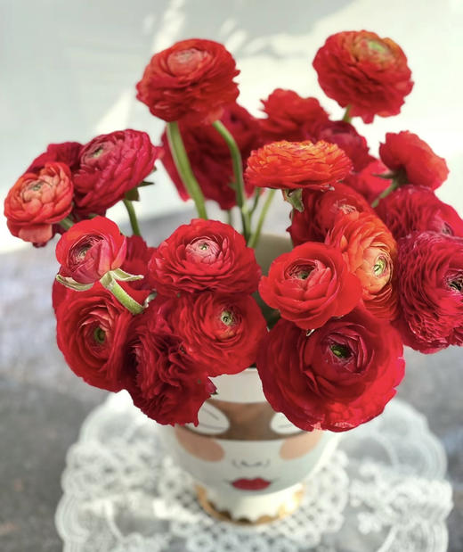 【富贵吉祥】经典版洋牡丹  多色可选  约8-10枝/扎 商品图7