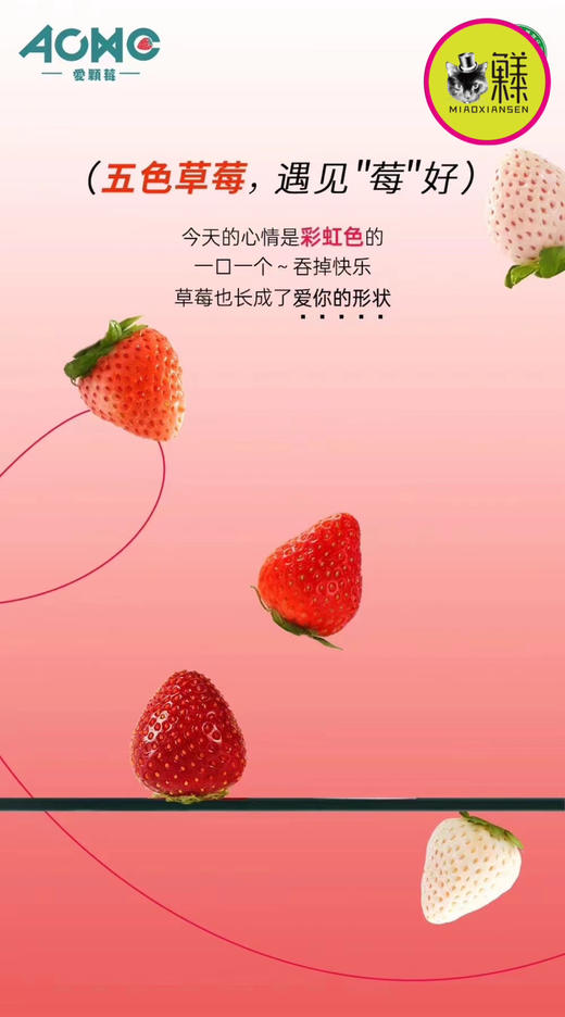【五色草莓🍓】遇见莓好 基地直发✈️包邮 商品图3
