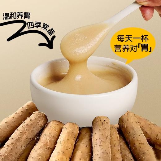 【怀明堂】怀明堂铁棍山药粉礼盒480g 河南焦作温县山药熟粉 商品图4