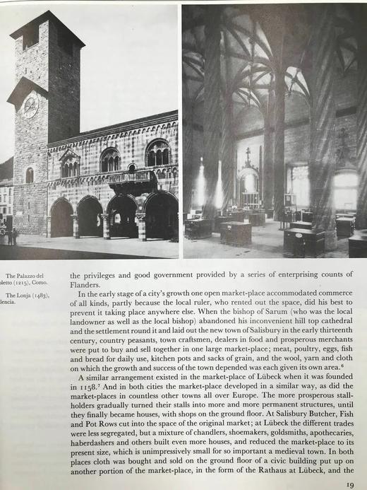 城市与人民：社会与建筑史 数百幅插图 精装16开 商品图10