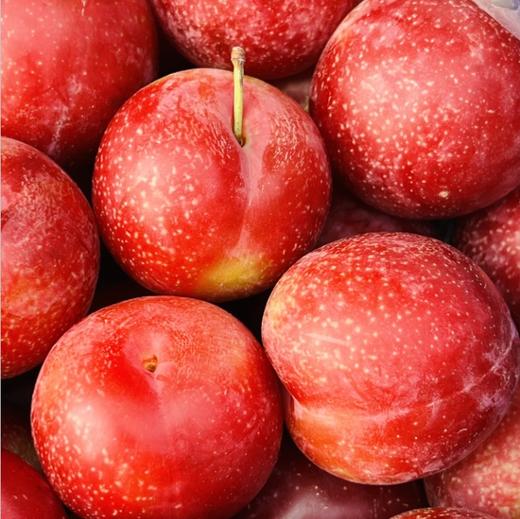 智利樱桃李🍒 樱桃与李子的完美“混血”结合 ，看起来像李子，吃起来比樱桃还甜美😘😘橘黄色果肉娇艳欲滴，咬一口蜜汁四溅，细致脆爽，甜蜜里透着点酸，味道太足了～ 果子最佳熟度，绝味好吃😋😋♥️ 商品图0