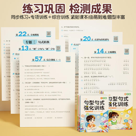 【斗半匠】句型句式强化训练 商品图4