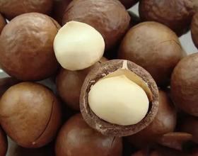 夏威夷果 500g