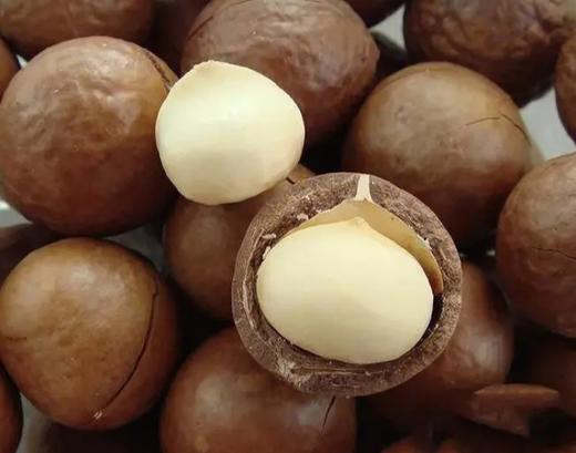 夏威夷果 500g 商品图0