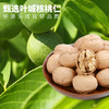 【严选】疆果果百变超仁草莓味核桃仁120g/袋（10g*12小袋）（厂家直发）） 商品缩略图8