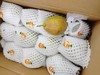 好一个梨香梨一箱 商品缩略图2