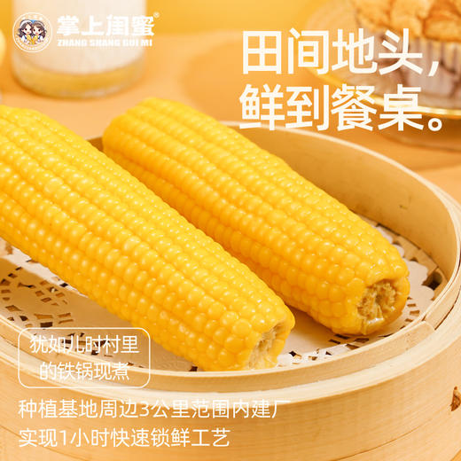 掌上闺蜜甜糯玉米家庭装1.8kg 商品图3