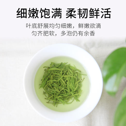 2026新茶上市 7星云雾绿茶明前春茶125g*2袋特尊茶 商品图3