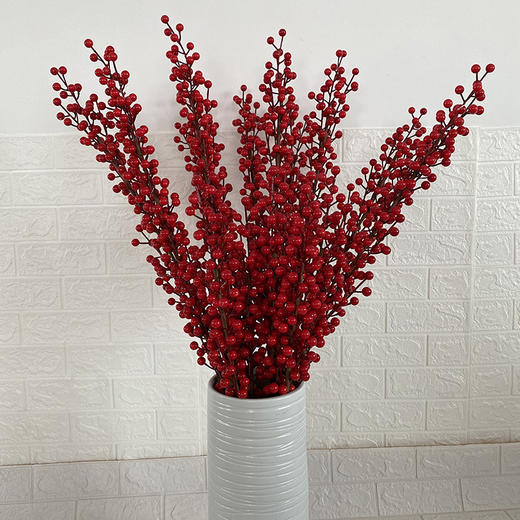 年终大促！【装饰新年居室！点亮家中温馨氛围】仿真红果发财果家居装饰新年果子冬青果家居装饰圣诞红果，扑面而来的新年好运给你家带来满满的发财机遇。 商品图4