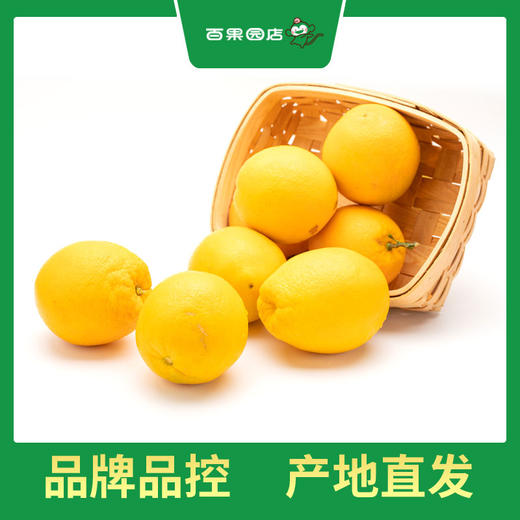 PAGODA百果园 赣南脐橙（大）10斤彩箱装（净重4.5kg-5kg） 商品图1