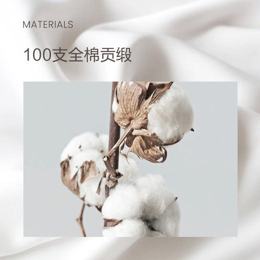 云感枕_中枕-1对 商品图3