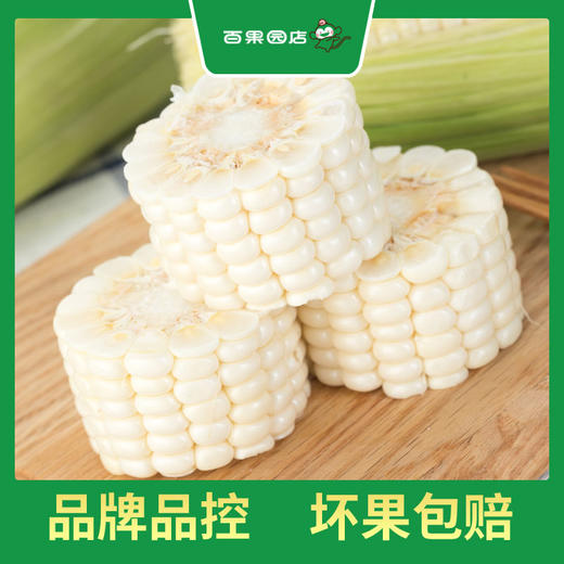 PAGODA百果园 A级-微玉冰糖玉米3斤家庭装 商品图4