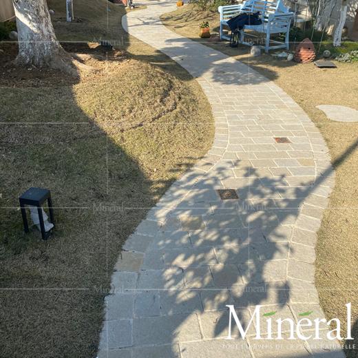 西班牙秋黄自由长 商品图14