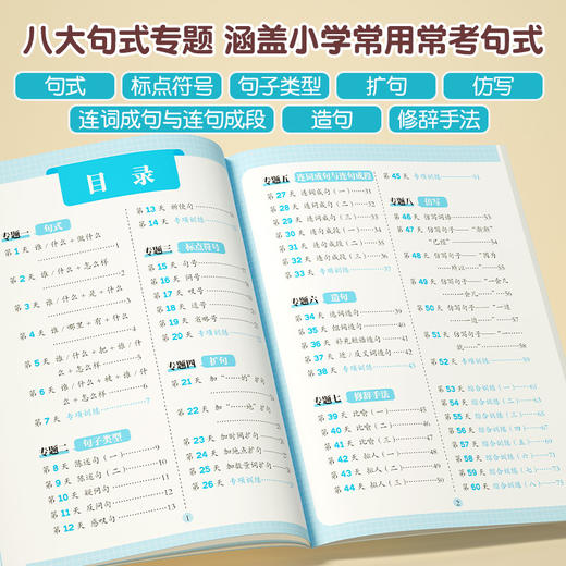 【斗半匠】句型句式强化训练 商品图2