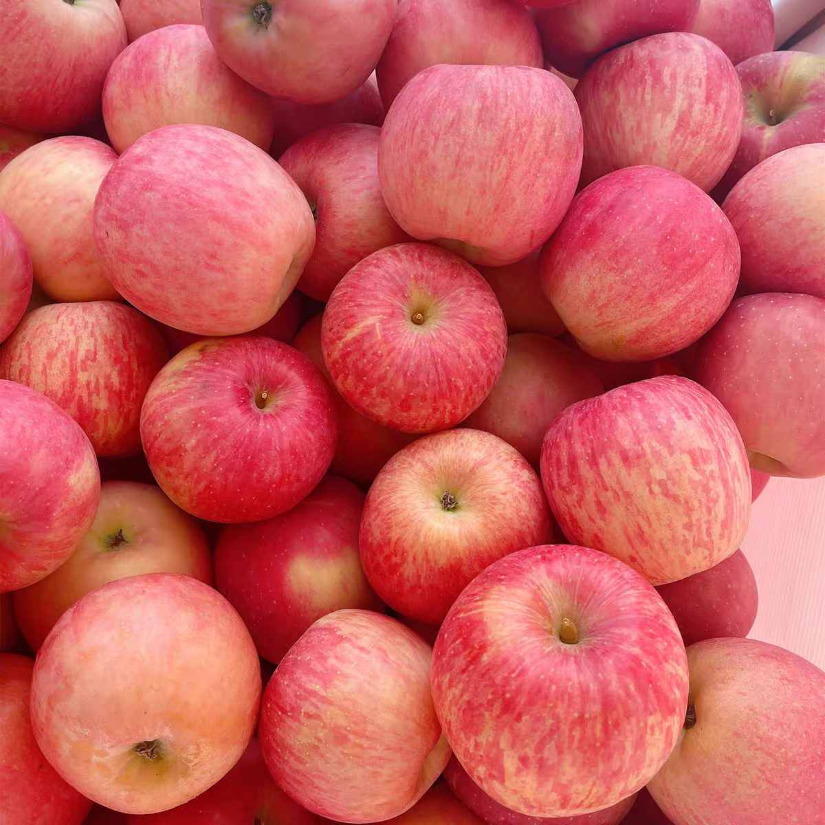 85#冰糖心苹果  500g