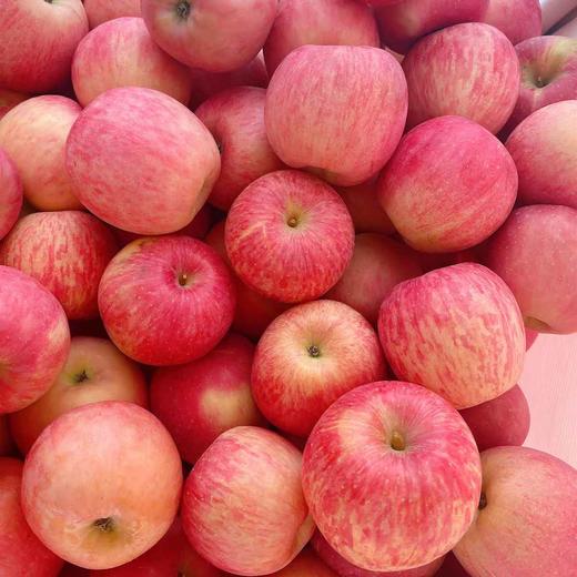85#冰糖心苹果  500g 商品图0