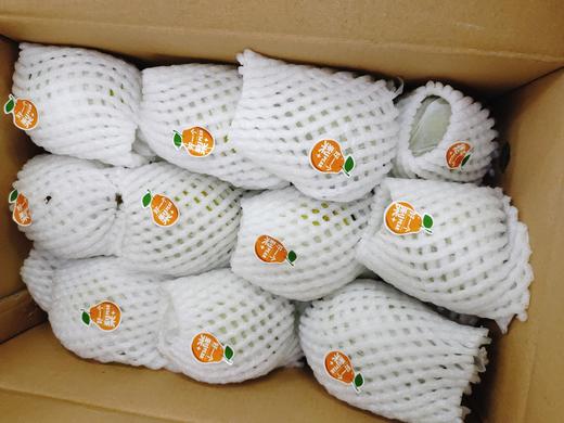 好一个梨香梨一箱 商品图3