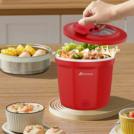 艾贝丽电煮锅 ABL-DZG10B 商品图5