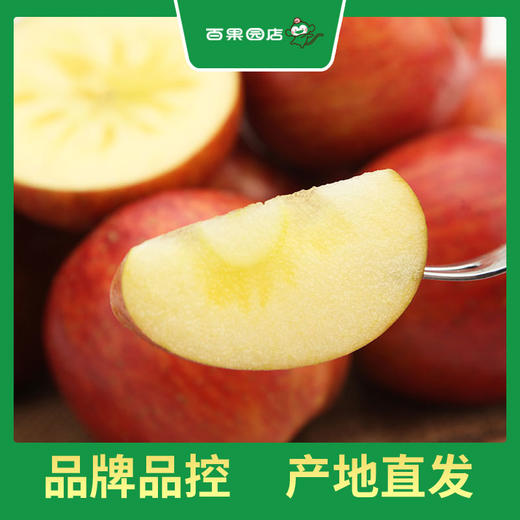 PAGODA百果园 阿克苏蜜心富士（超大）12粒礼盒装 商品图3