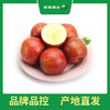 PAGODA百果园 阿克苏蜜心富士（超大）12粒礼盒装 商品缩略图4