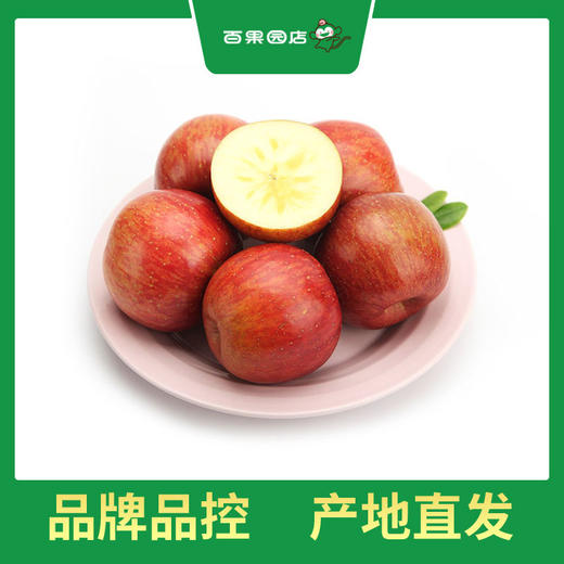 PAGODA百果园 阿克苏蜜心富士（超大）12粒礼盒装 商品图4