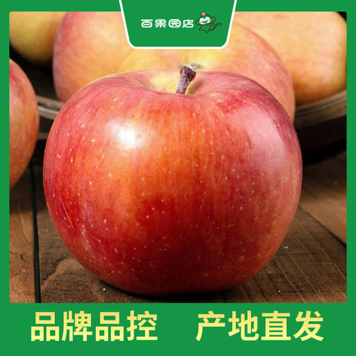 PAGODA百果园 阿克苏蜜心富士（超大）12粒礼盒装 商品图1