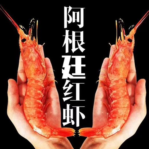 【顺丰京东包邮】阿根廷红虾   个大肥美、不粉不柴、肉质鲜嫩  基地直邮 商品图1
