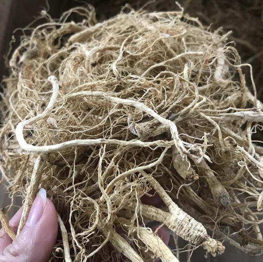 人参须  长白山人参须 250克  500克  1kg 商品图0