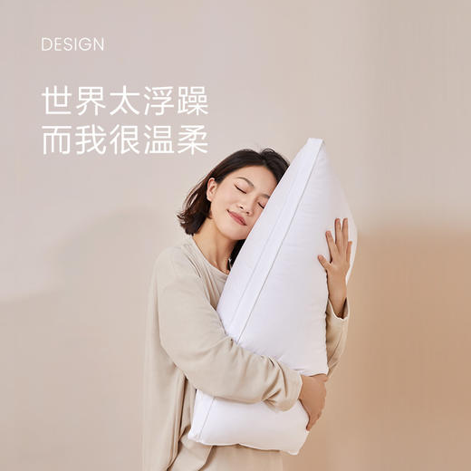 云感枕_中枕-1对 商品图0