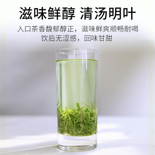 2026新茶上市 7星云雾绿茶明前春茶125g*2袋特尊茶 商品图2