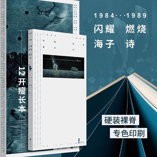 1984—1989闪耀·燃烧 : 海子·诗 商品图4
