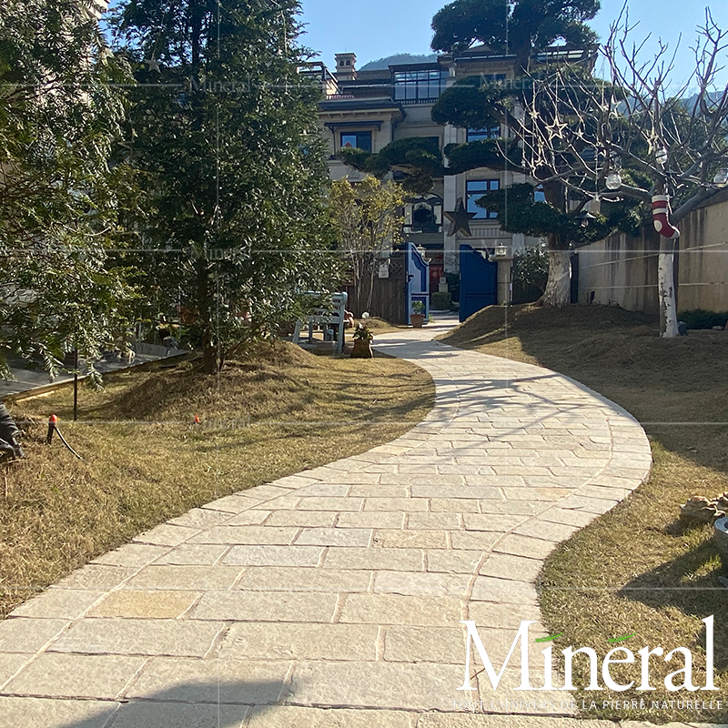 西班牙秋黄自由长