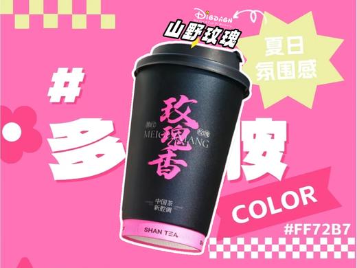 【抖音】山野玫瑰 商品图0