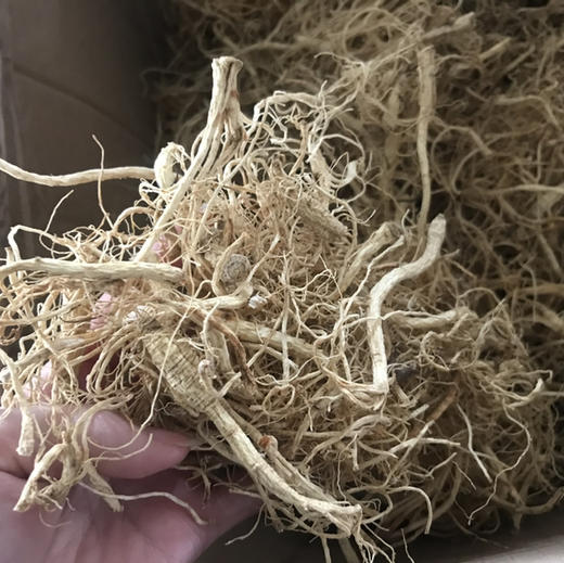 人参须  长白山人参须 250克  500克  1kg 商品图1